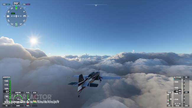 Microsoft Flight Simulator