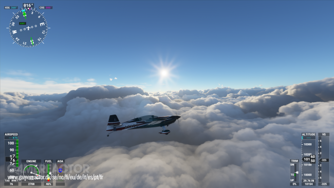 Microsoft Flight Simulator