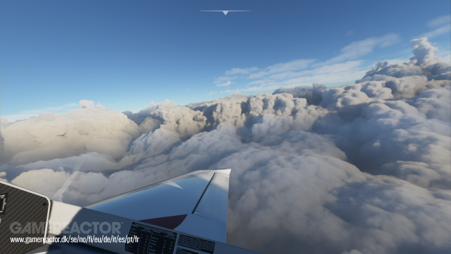 Microsoft Flight Simulator