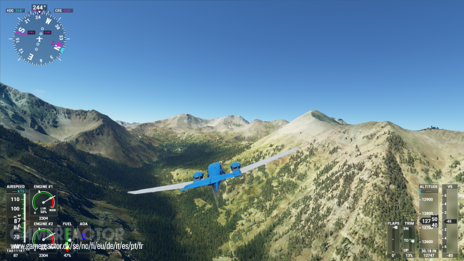 Microsoft Flight Simulator
