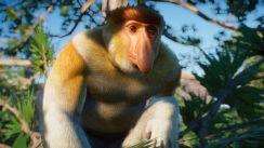 Related Image