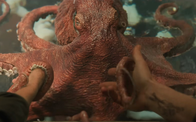 Sally Field blir vän med en bläckfisk i Remarkably Bright Creatures