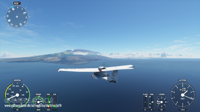 Microsoft Flight Simulator
