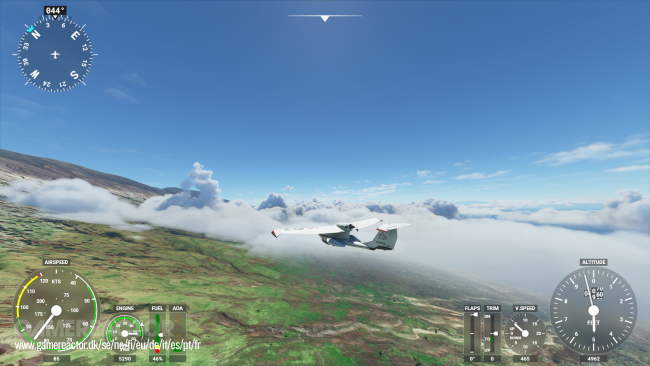 Microsoft Flight Simulator