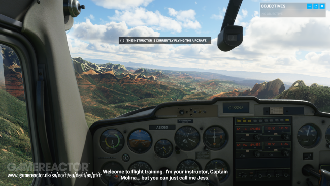 Microsoft Flight Simulator