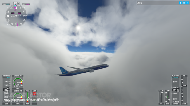 Microsoft Flight Simulator