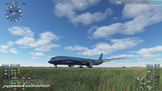 Microsoft Flight Simulator