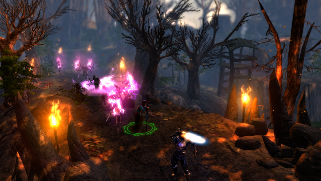 Dungeon Siege III