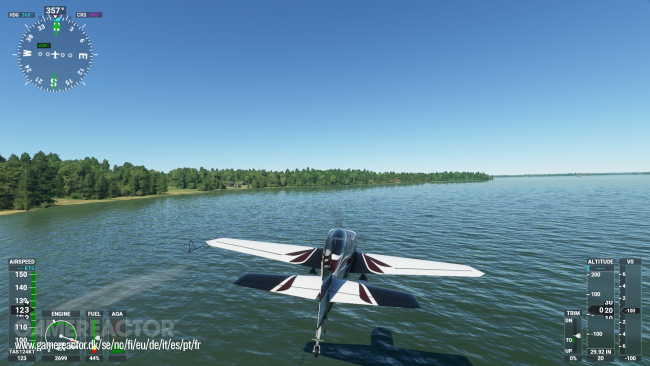 Microsoft Flight Simulator