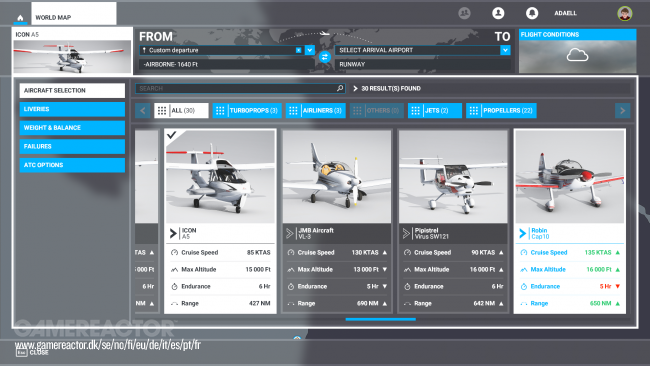 Microsoft Flight Simulator