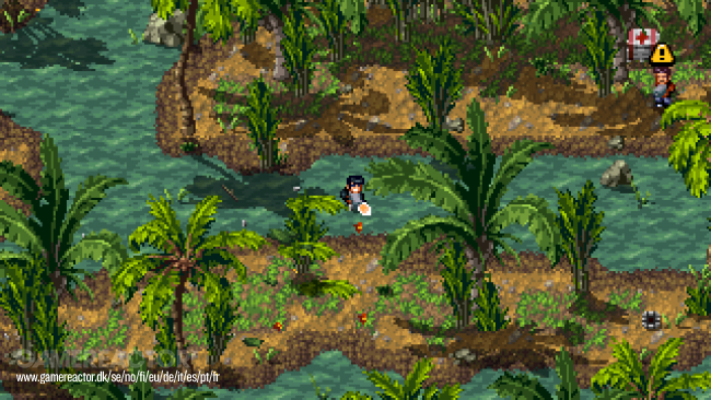 Shakedown Hawaii