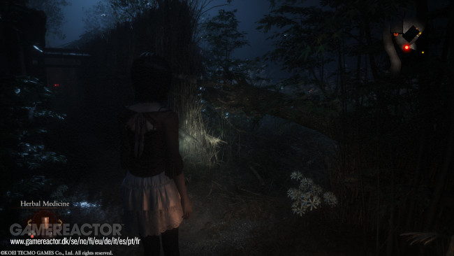 Fatal Frame II: Crimson Butterfly Remake