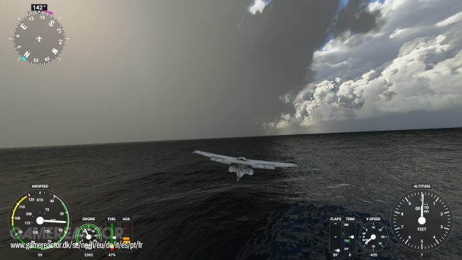 Microsoft Flight Simulator