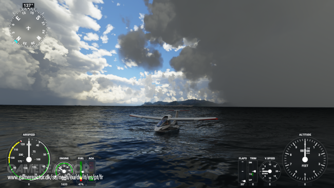 Microsoft Flight Simulator
