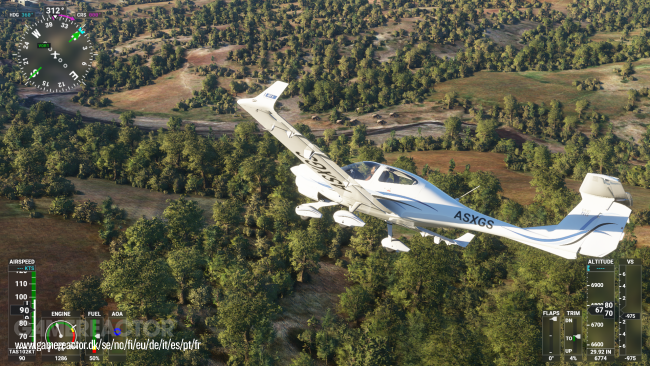 Microsoft Flight Simulator