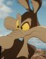 Coyote vs. Acme