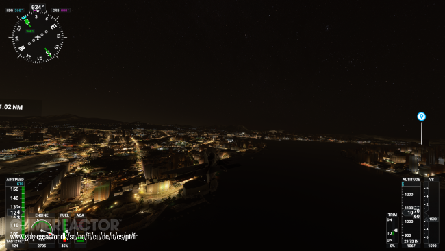 Microsoft Flight Simulator