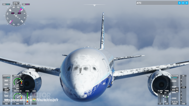 Microsoft Flight Simulator