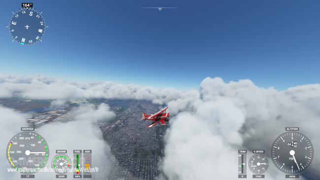 Microsoft Flight Simulator