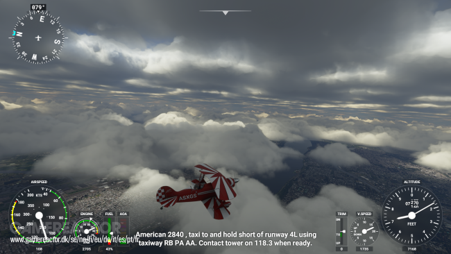 Microsoft Flight Simulator