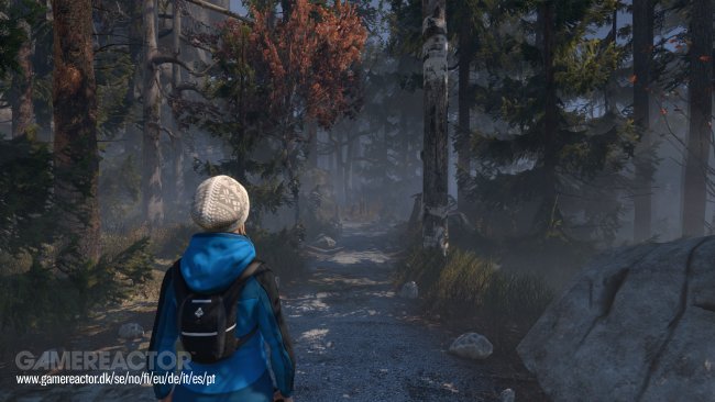 Through the Woods