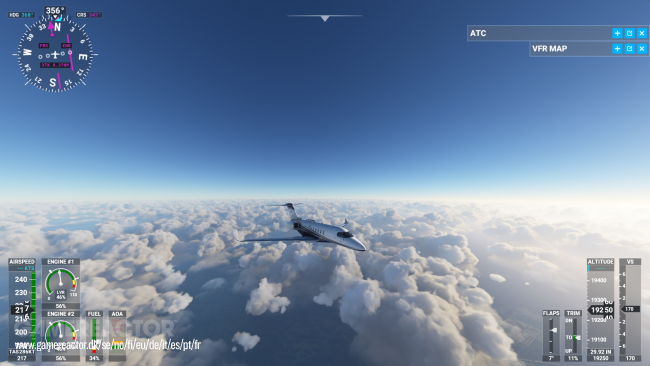 Microsoft Flight Simulator