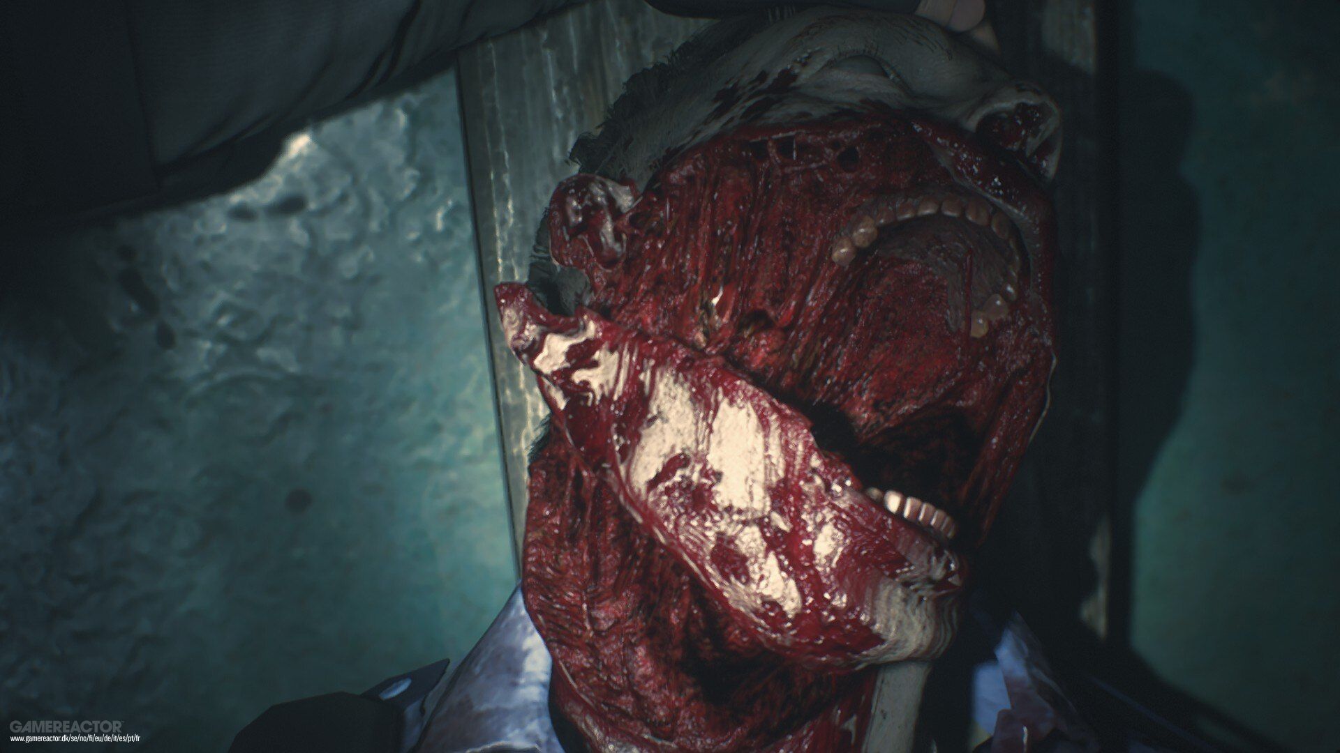 Dear horror...