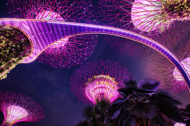 Singapore vill erkänna e-sport som en officiell sport