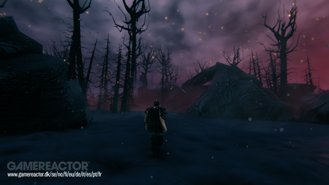 Valheim