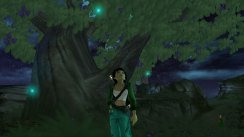 Related Image