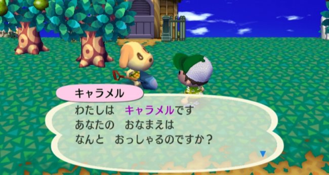 Animal Crossing: Lets go to the City