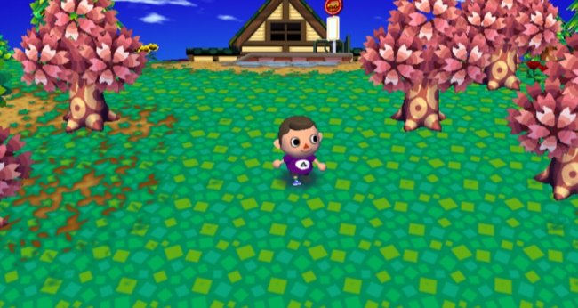 Animal Crossing: Lets go to the City