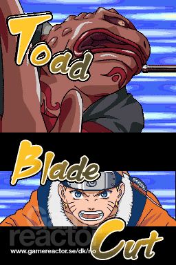 Naruto: Ninja Council