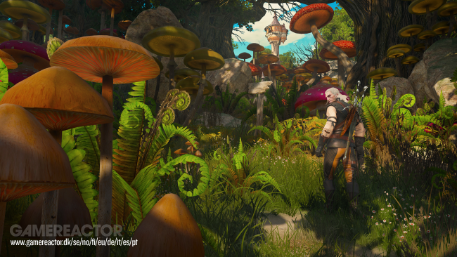 The Witcher 3: Wild Hunt