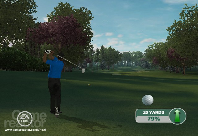 Tiger Woods PGA Tour 09