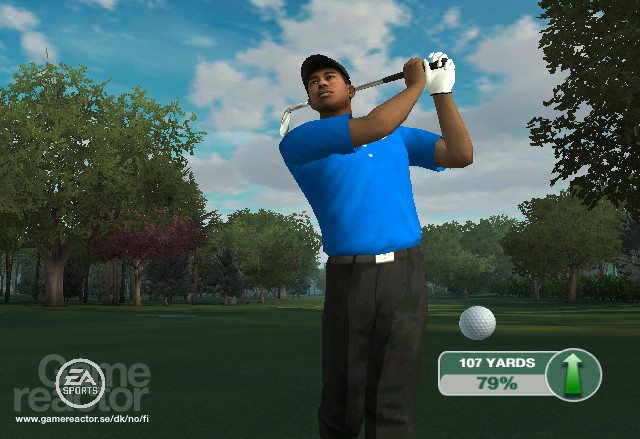 Tiger Woods PGA Tour 09