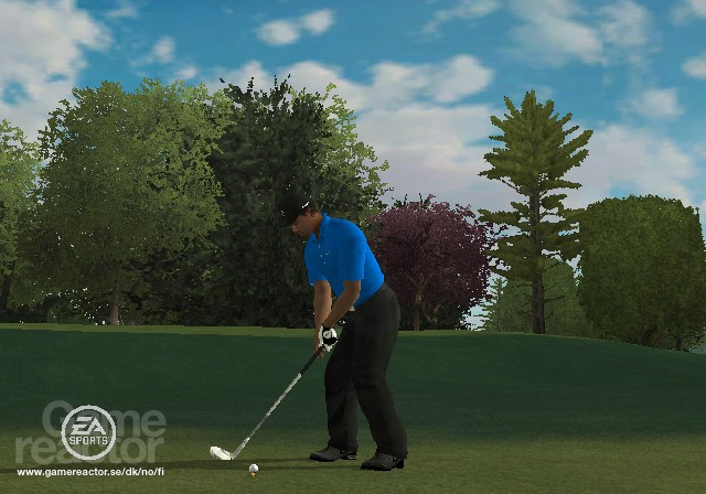 Tiger Woods PGA Tour 09