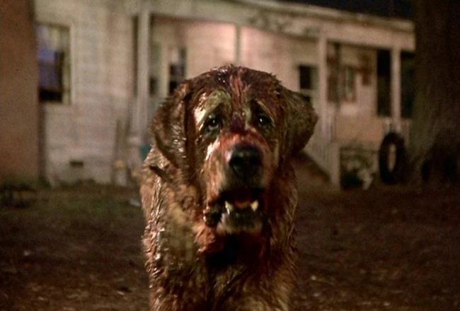 Netflix planerar en nytolkning av Stephen Kings Cujo