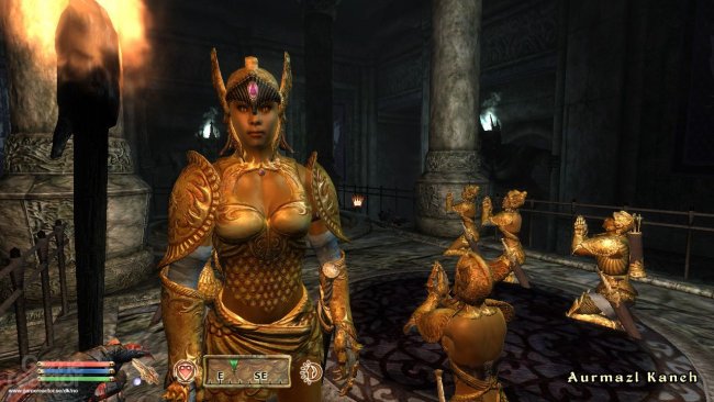 The Elder Scrolls IV: Oblivion: Shivering Isles