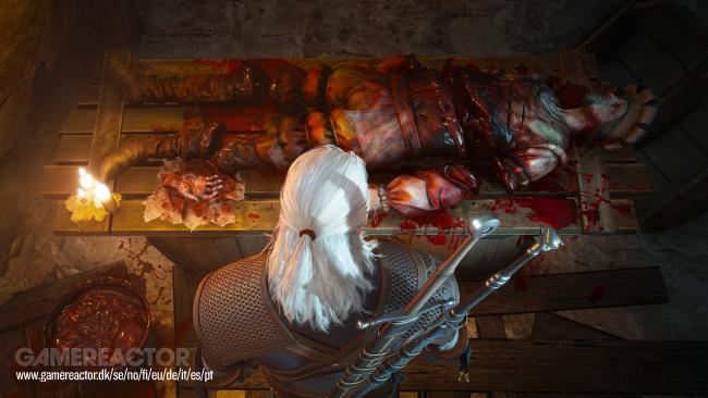 The Witcher 3: Wild Hunt