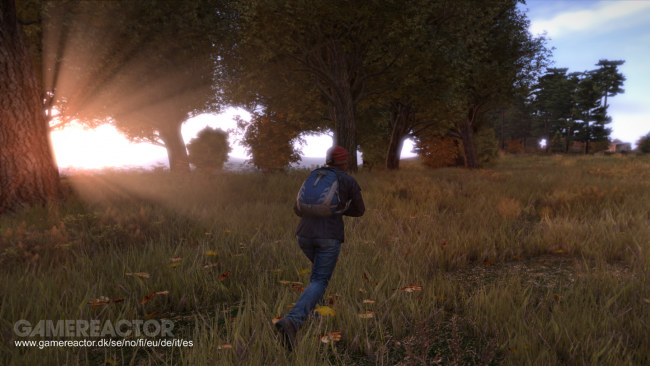 DayZ