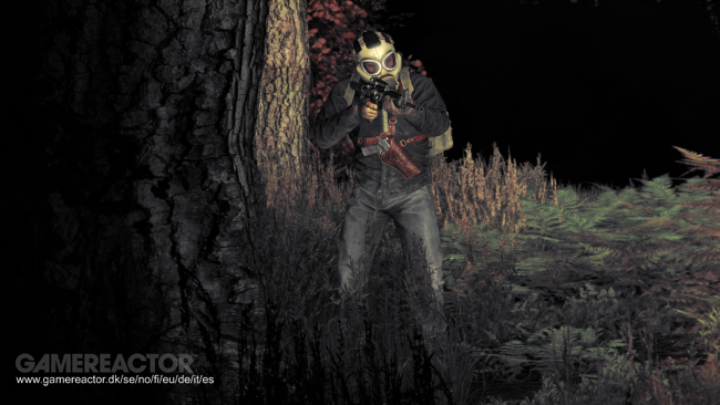 DayZ
