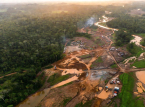 Illegala gruvarbetare h&auml;rjar i Amazonas i rekordtakt n&auml;r guldpriset skjuter i h&ouml;jden