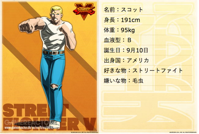 Hyper Street Fighter 2: The Anniversary Edition