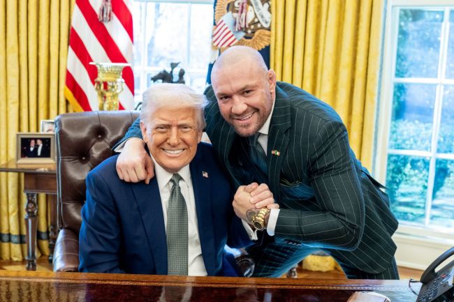 Irländska politiker avvisar bestämt Conor McGregors presidentkandidatur: "Inte ett hopp i helvetet"