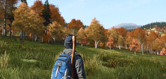 DayZ