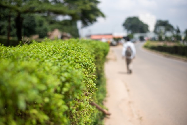 50 av 300 katolska skolelever som kidnappas i Nigeria lyckas fly (cirka 250 är fortfarande fångna)