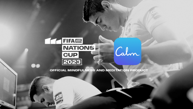 FIFA 23