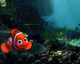 Hitta Nemo