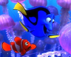 Hitta Nemo